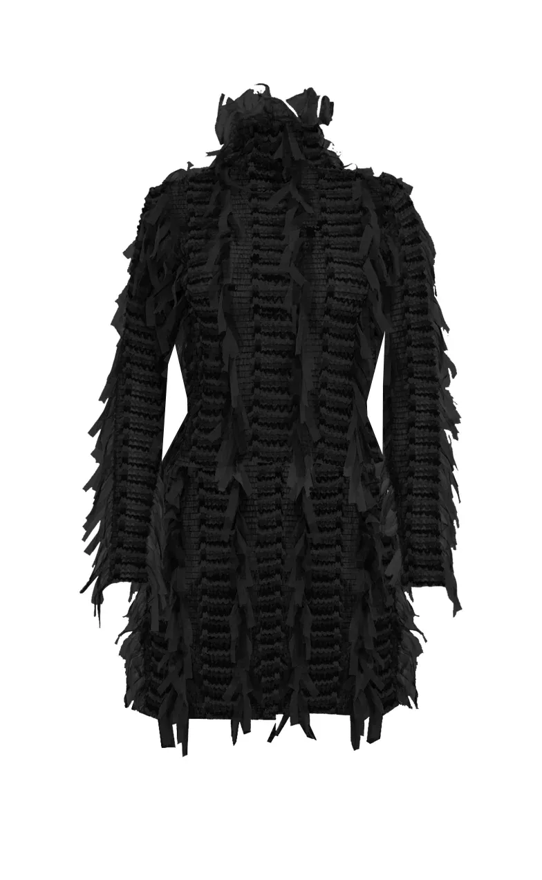 Black Swan Dress