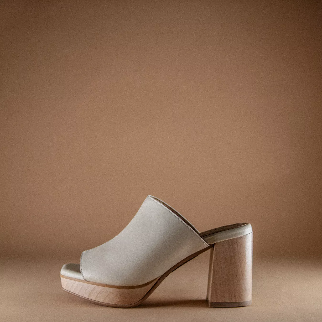 Mina Platform Mule