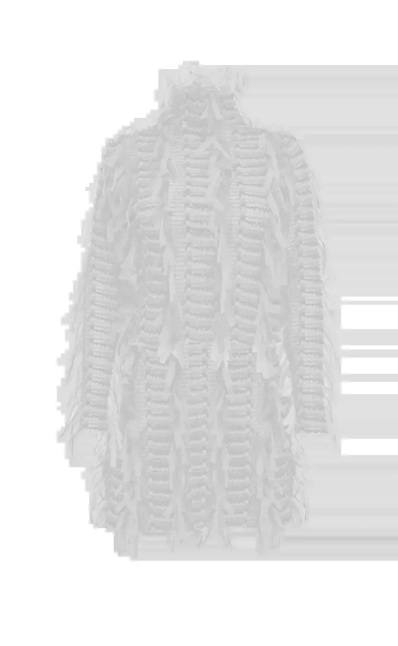 White Swan Dress